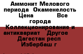 Аммонит Мелового периода. Окаменелость. › Цена ­ 2 800 - Все города Коллекционирование и антиквариат » Другое   . Дагестан респ.,Избербаш г.